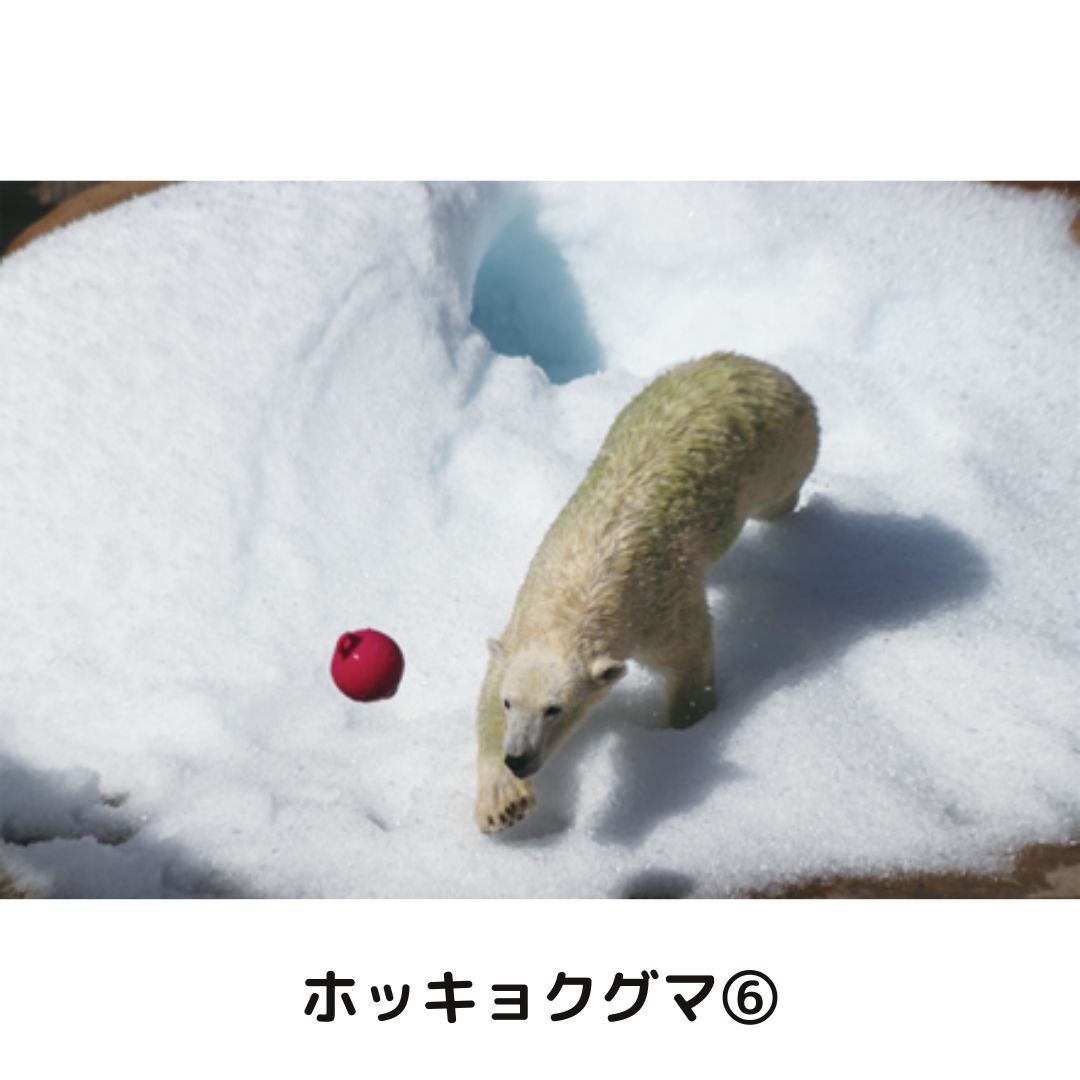 �ڲ���ưʪ�४�ꥸ�ʥ�ۥݥ��ȥ�����