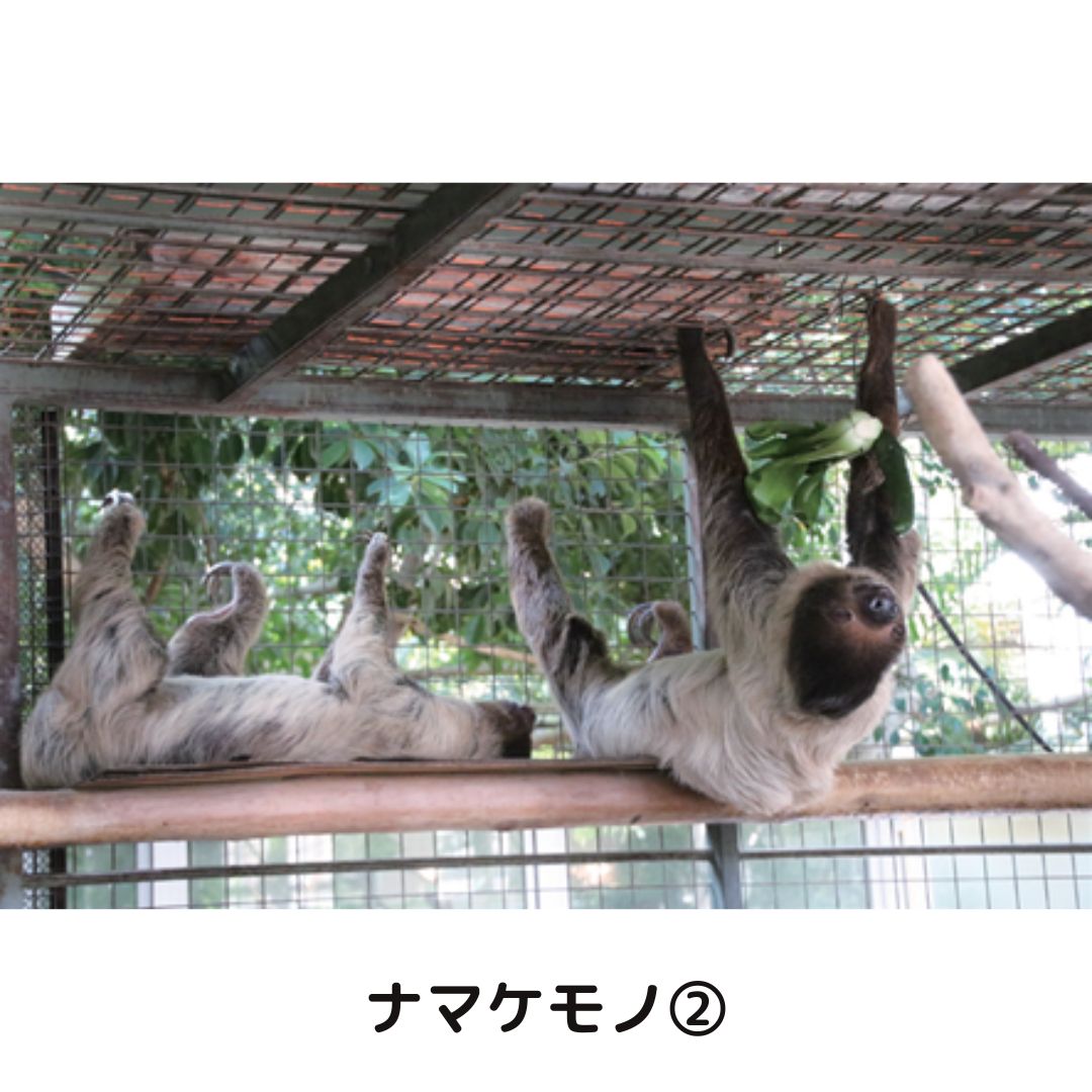 �ڲ���ưʪ�४�ꥸ�ʥ�ۥݥ��ȥ�����