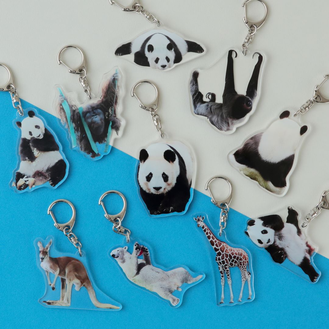 �ڲ���ưʪ�४�ꥸ�ʥ�ۥ�����륭���ۥ���� ���󥿥�/���ȥ�å�
