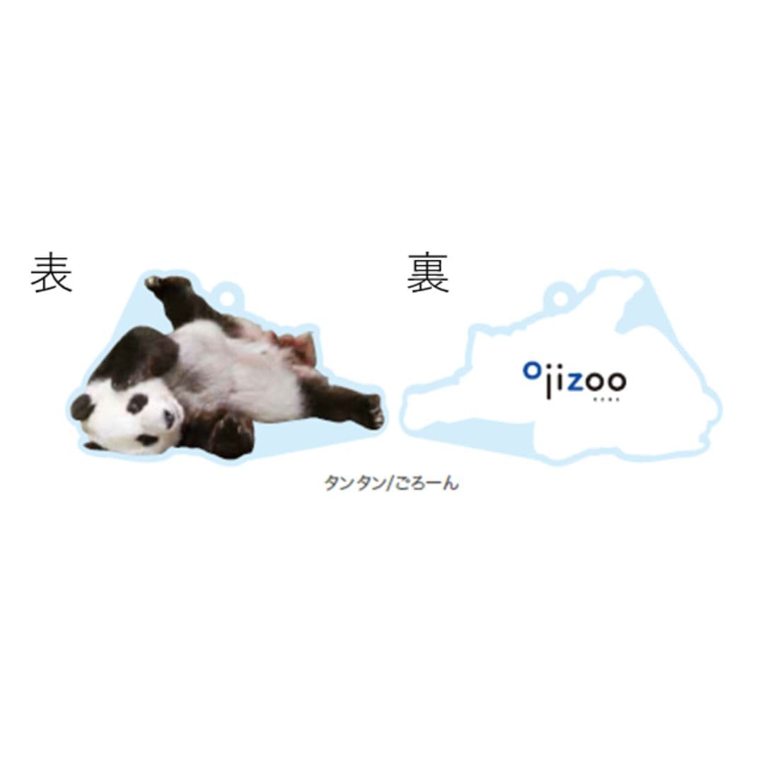 �ڲ���ưʪ�४�ꥸ�ʥ�ۥ�����륭���ۥ���� ���󥿥�/��������