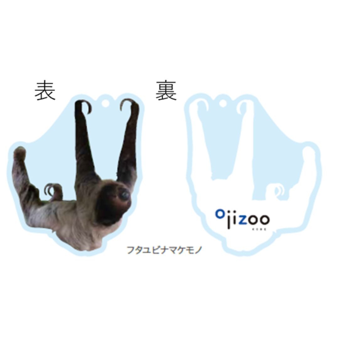 �ڲ���ưʪ�४�ꥸ�ʥ�ۥ�����륭���ۥ���� �ե�����ӥʥޥ����
