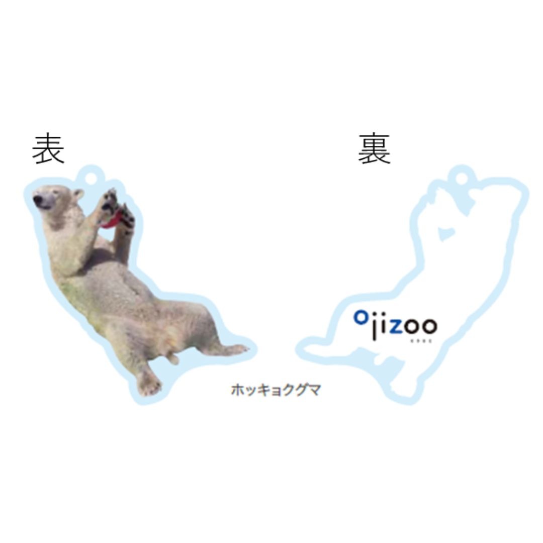 �ڲ���ưʪ�४�ꥸ�ʥ�ۥ�����륭���ۥ���� �ۥå��祯����