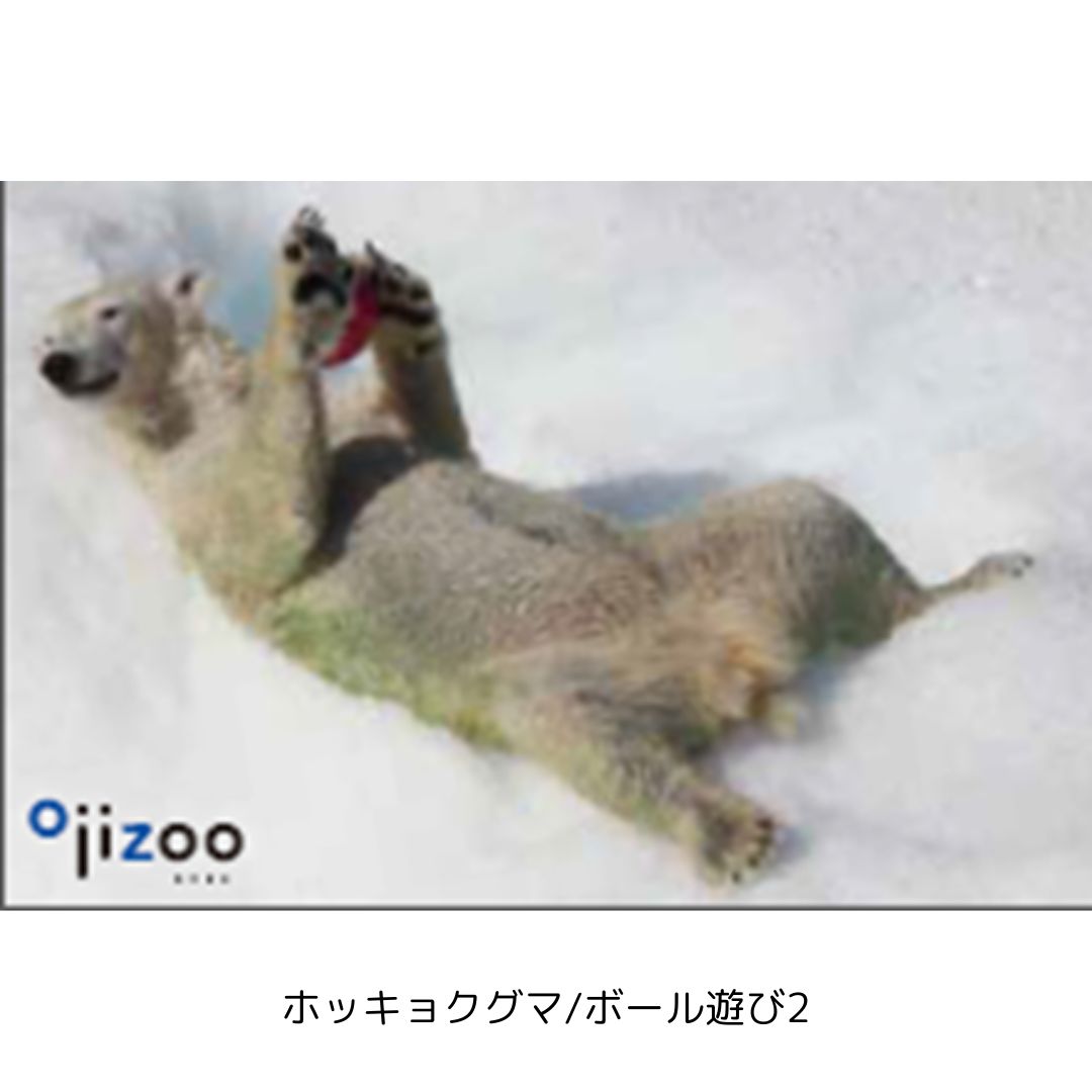 �ڲ���ưʪ�४�ꥸ�ʥ�۳ѥޥ��ͥå�