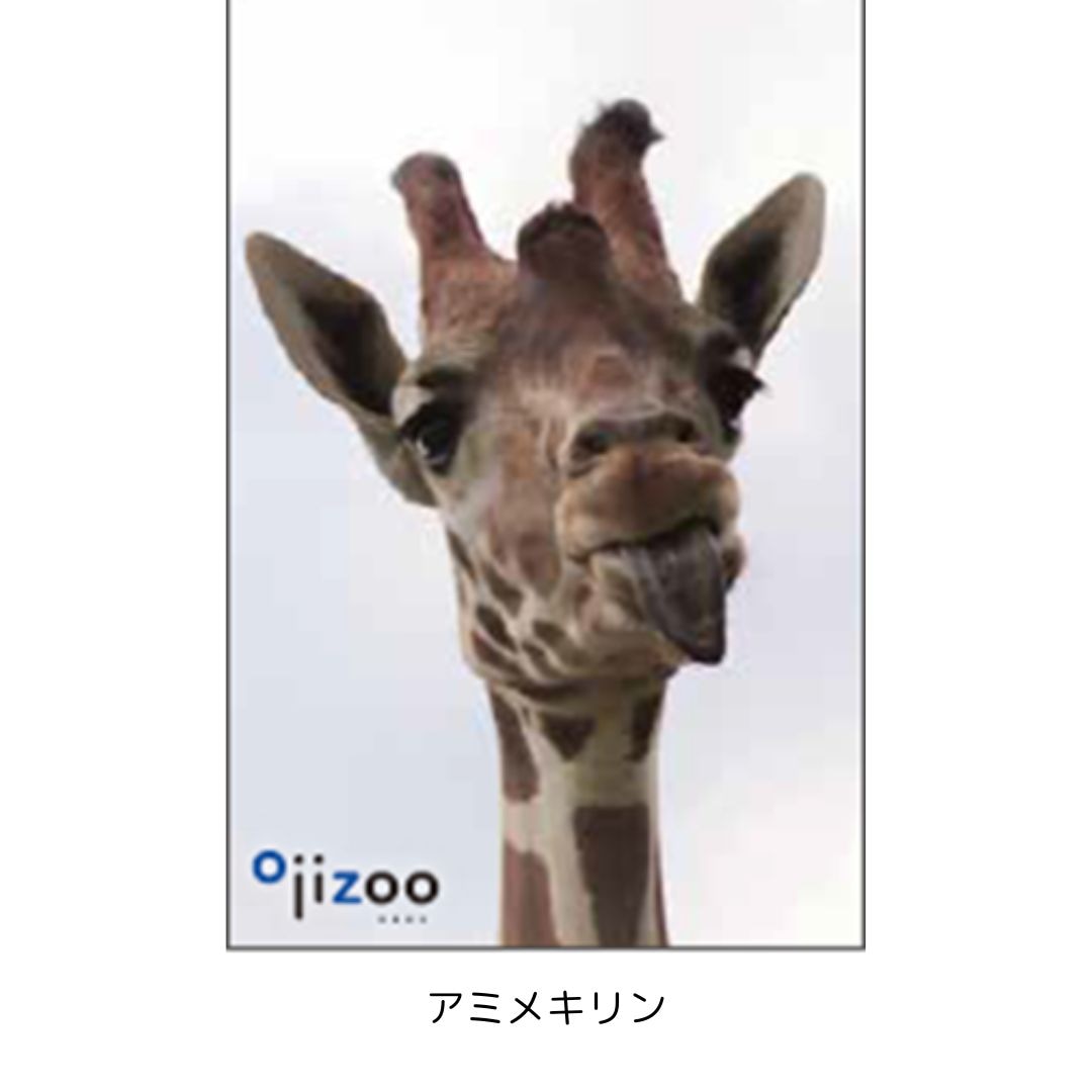 �ڲ���ưʪ�४�ꥸ�ʥ�۳ѥޥ��ͥå�