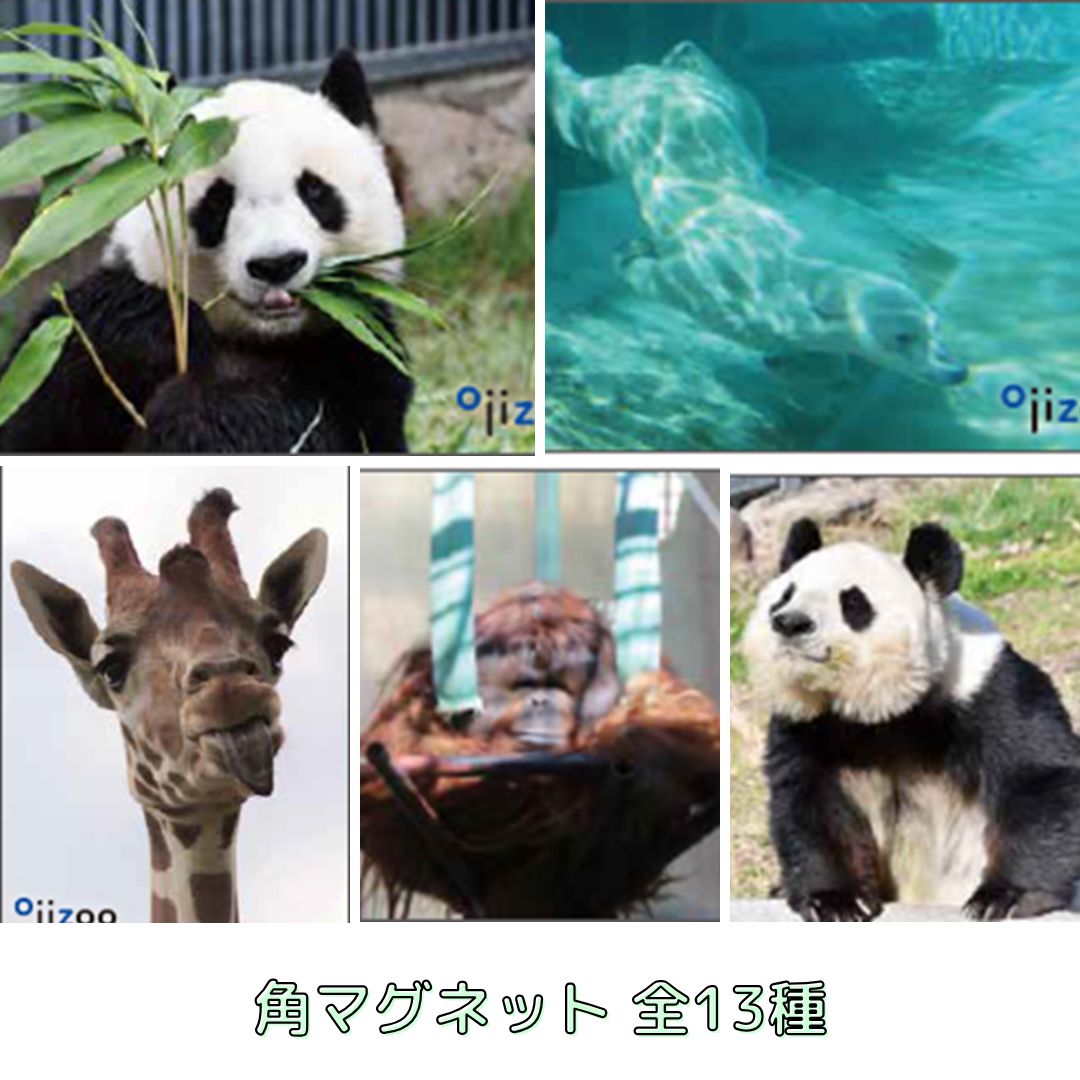 �ڲ���ưʪ�४�ꥸ�ʥ�۳ѥޥ��ͥå�