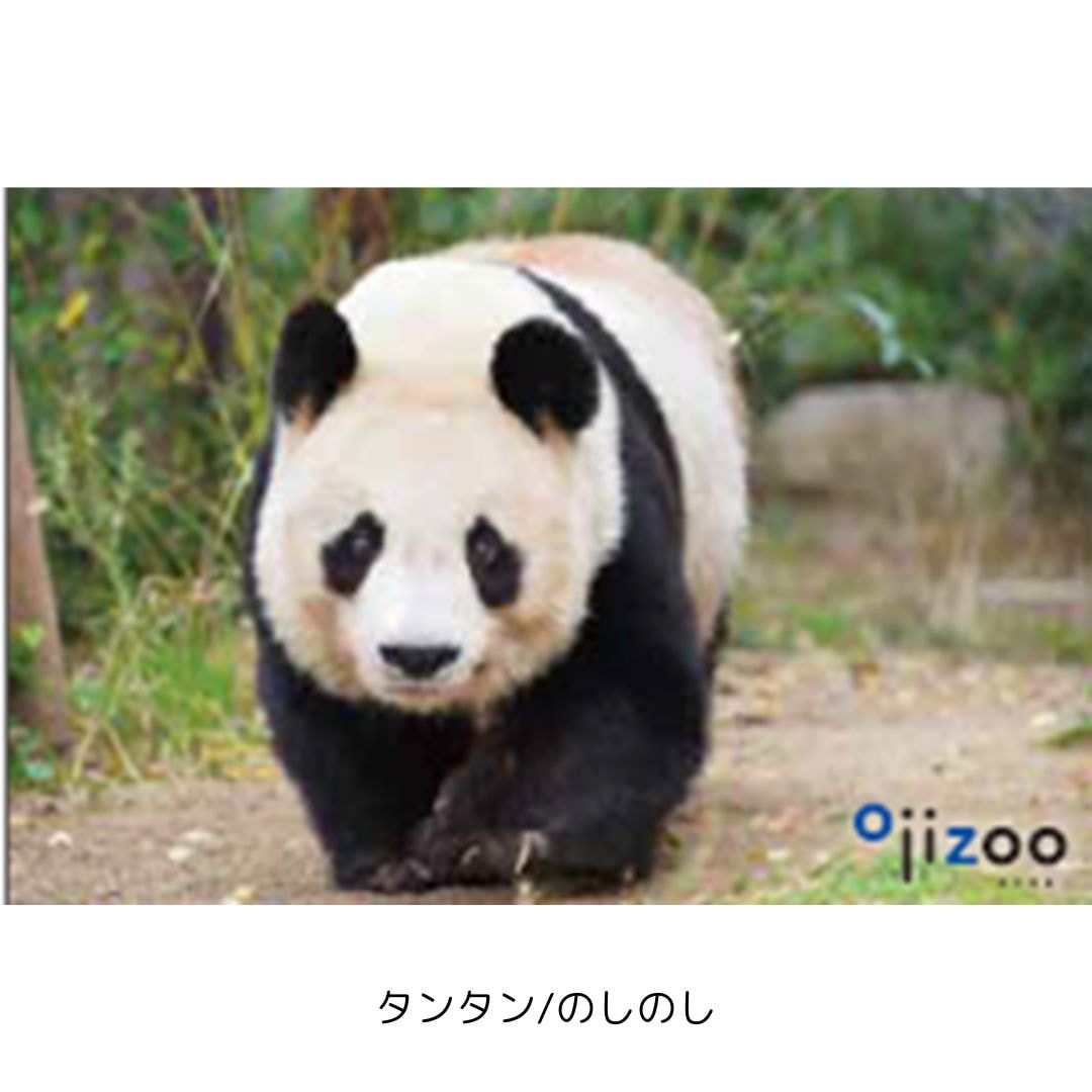�ڲ���ưʪ�४�ꥸ�ʥ�۳ѥޥ��ͥå�