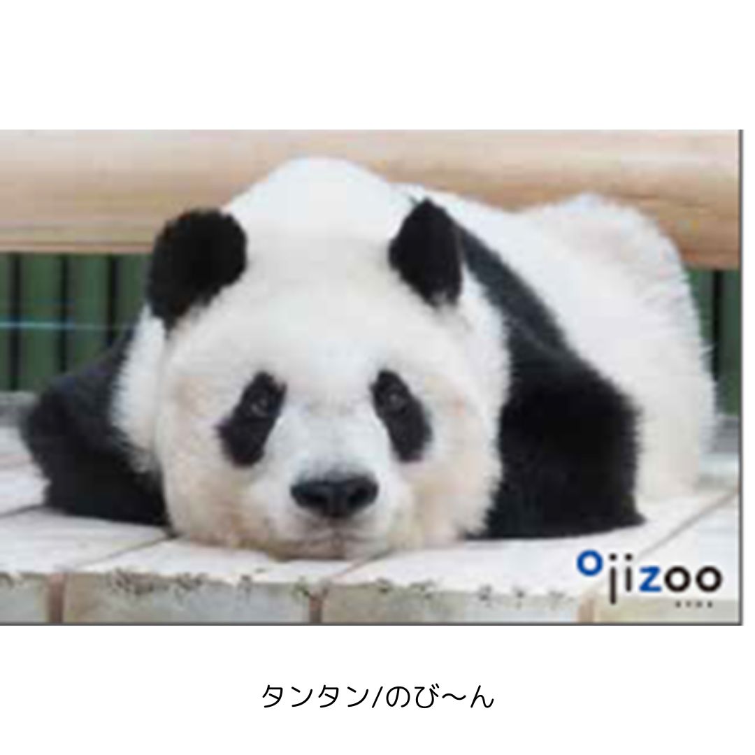 �ڲ���ưʪ�४�ꥸ�ʥ�۳ѥޥ��ͥå�
