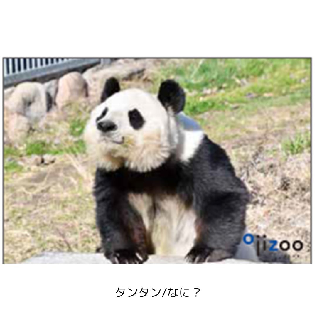 �ڲ���ưʪ�४�ꥸ�ʥ�۳ѥޥ��ͥå�