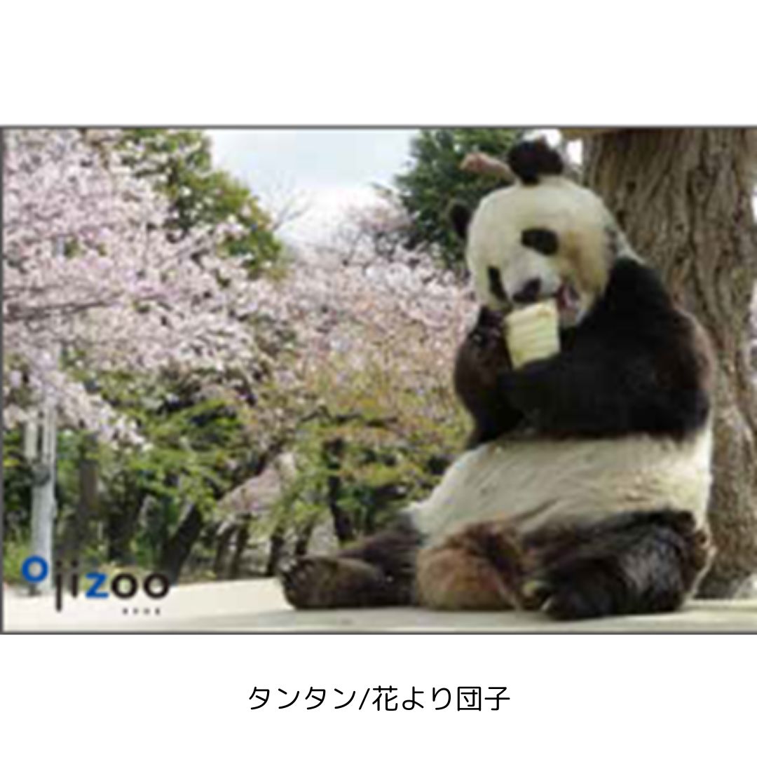 �ڲ���ưʪ�४�ꥸ�ʥ�۳ѥޥ��ͥå�
