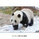 �ڲ���ưʪ�४�ꥸ�ʥ�۳ѥޥ��ͥå�