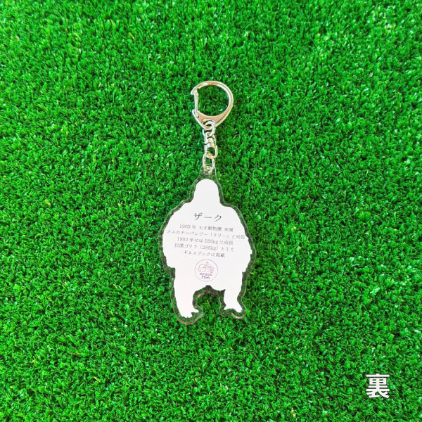 �ڲ���ưʪ���75��ǯ��ǰ��������륭���ۥ�������������֥������ס�