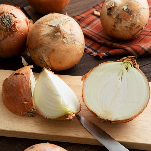 �ͼ������������̤ͤ����ѡ����󥽥ᥪ�˥��󥹡��ס�irodori kintetsu��