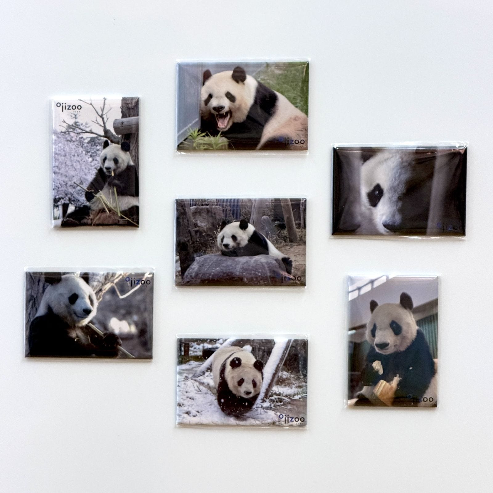 �ڲ���ưʪ�४�ꥸ�ʥ�۳ѥޥ��ͥå� ��2�ơ���������