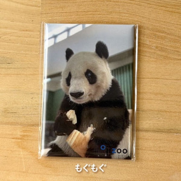 �ڲ���ưʪ�४�ꥸ�ʥ�۳ѥޥ��ͥå� ��2�ơ���������