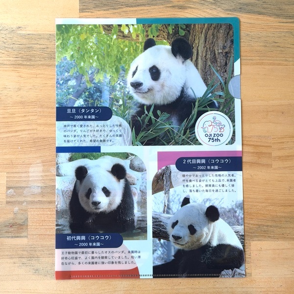 王子動物園オリジナル】75周年記念クリアファイル 動物編（パンダ