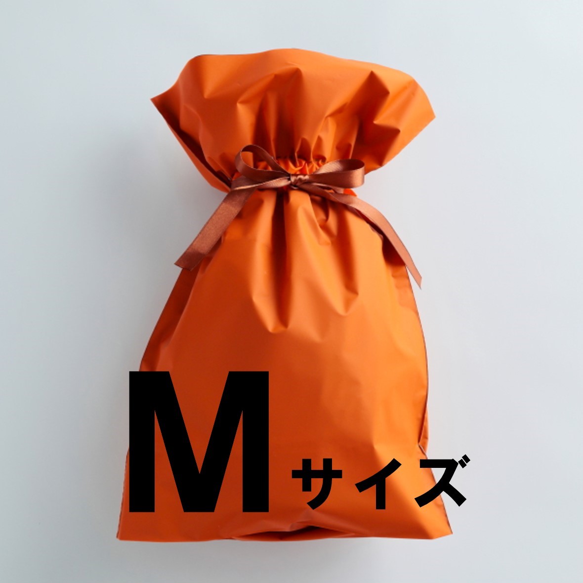 ��åԥ󥰥Хå�M������