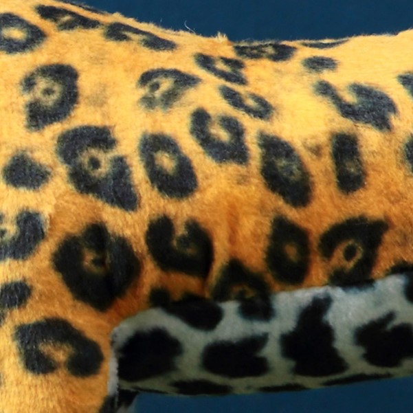 ��ŷ����ưʪ�४�ꥸ�ʥ�ۤƤ�Τ������쥯����󡡥��㥬��