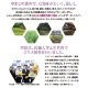 ��GOTO-CHI����Ź�ۤ�ޤ�cosmetic ��ȯ�ڱ��۹硡���ƥޥ��� ʩ��ver