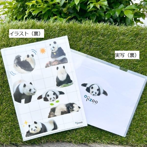 �ڲ���ưʪ�४�ꥸ�ʥ�ۥ��ꥢ�ե�����