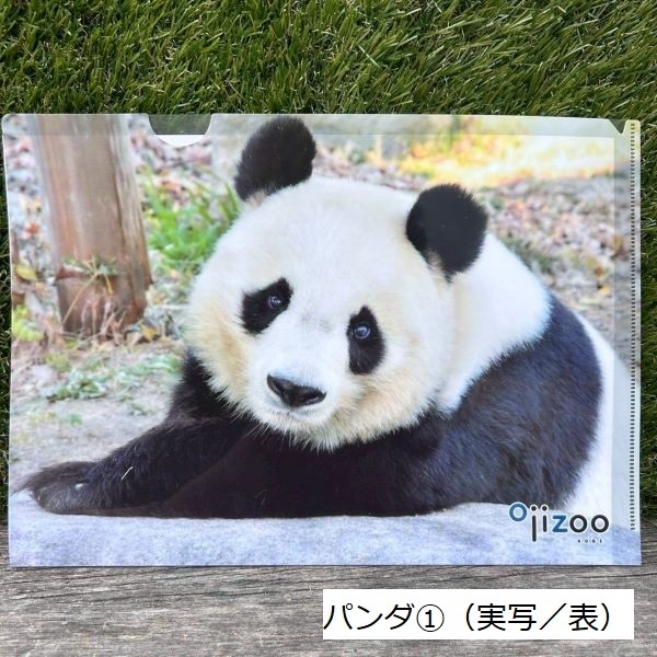 �ڲ���ưʪ�४�ꥸ�ʥ�ۥ��ꥢ�ե�����