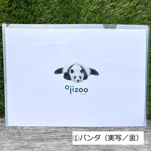 �ڲ���ưʪ�४�ꥸ�ʥ�ۥ��ꥢ�ե�����