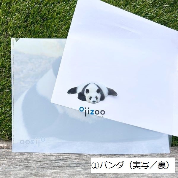 �ڲ���ưʪ�४�ꥸ�ʥ�ۥ��ꥢ�ե�����