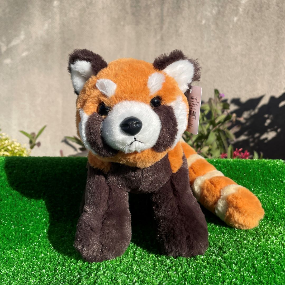 王子動物園オリジナル】 レッサーパンダのぬいぐるみ