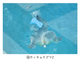 �ڲ���ưʪ�४�ꥸ�ʥ�ۥݥ��ȥ����ɡ���2��