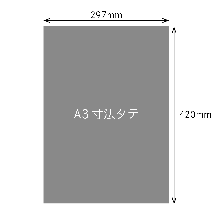 オーロラプリズム印刷_A3サイズ（297㎜×420㎜・ポスター・特殊印刷）