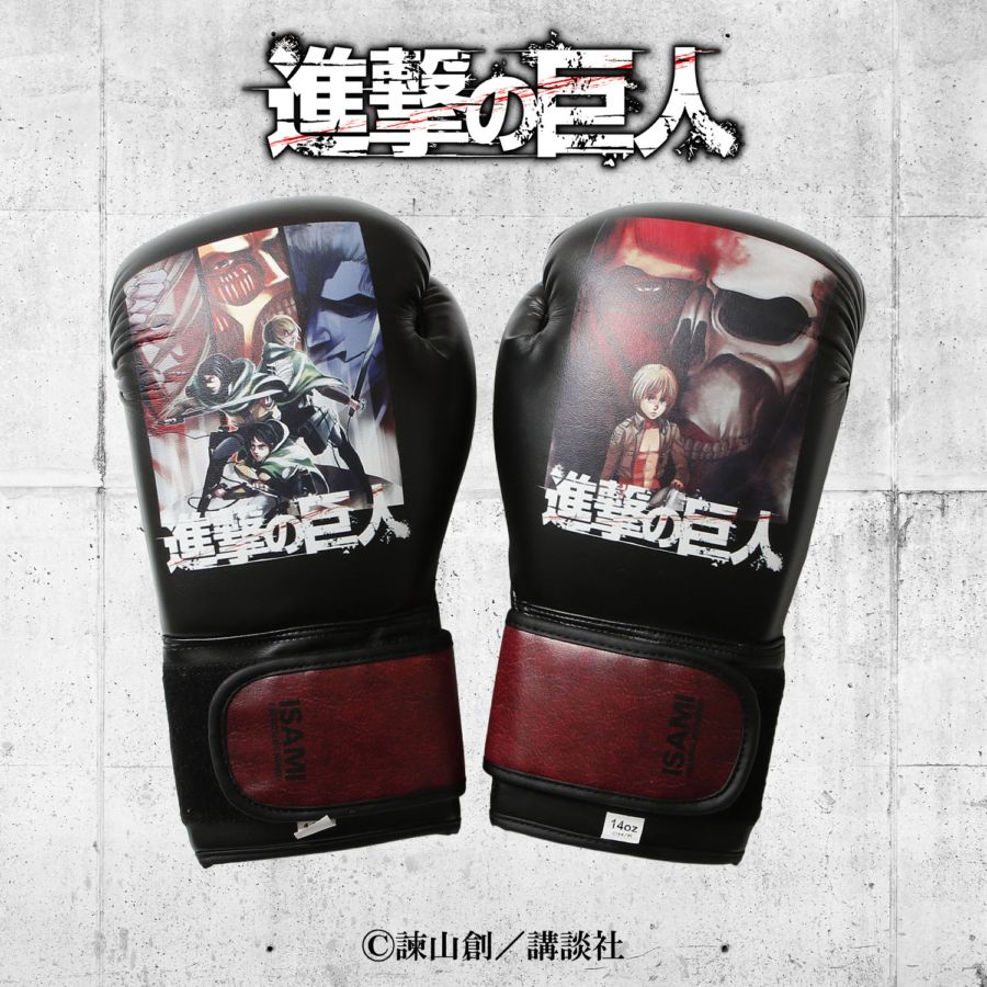 グローブ（ボクシンググローブ） | ISAMI(イサミ) |格闘技 武道具用品
