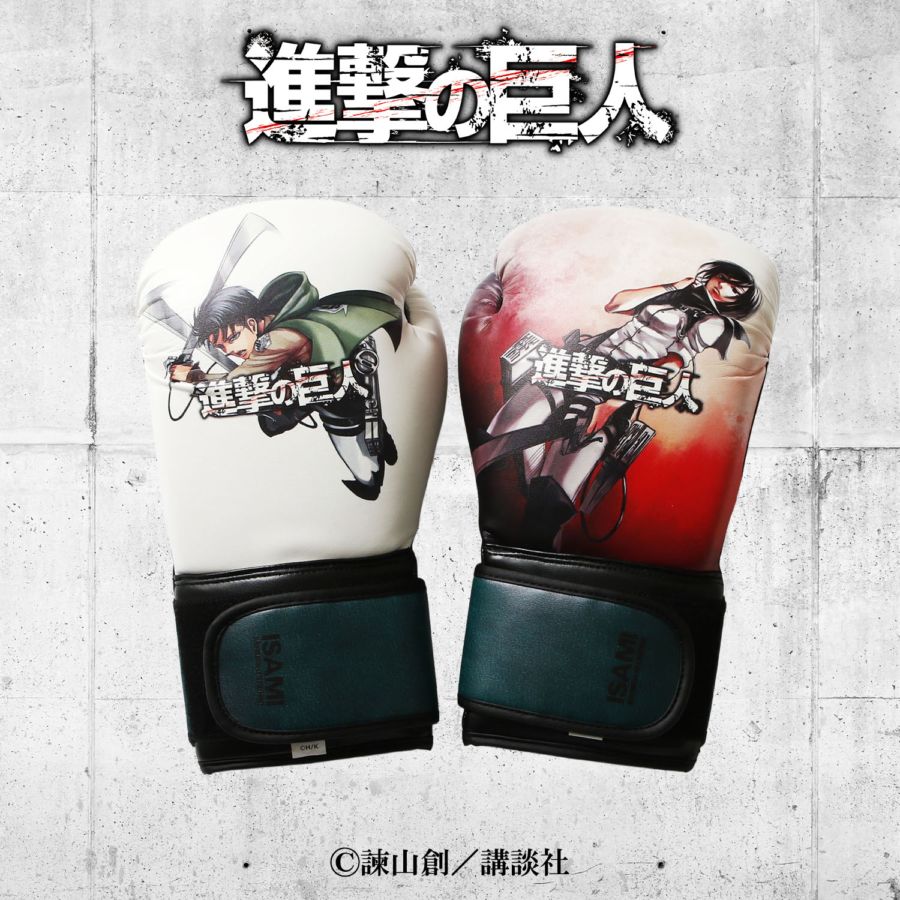 ISAMI(イサミ) 格闘技 武道具用品 格闘技プログッズ