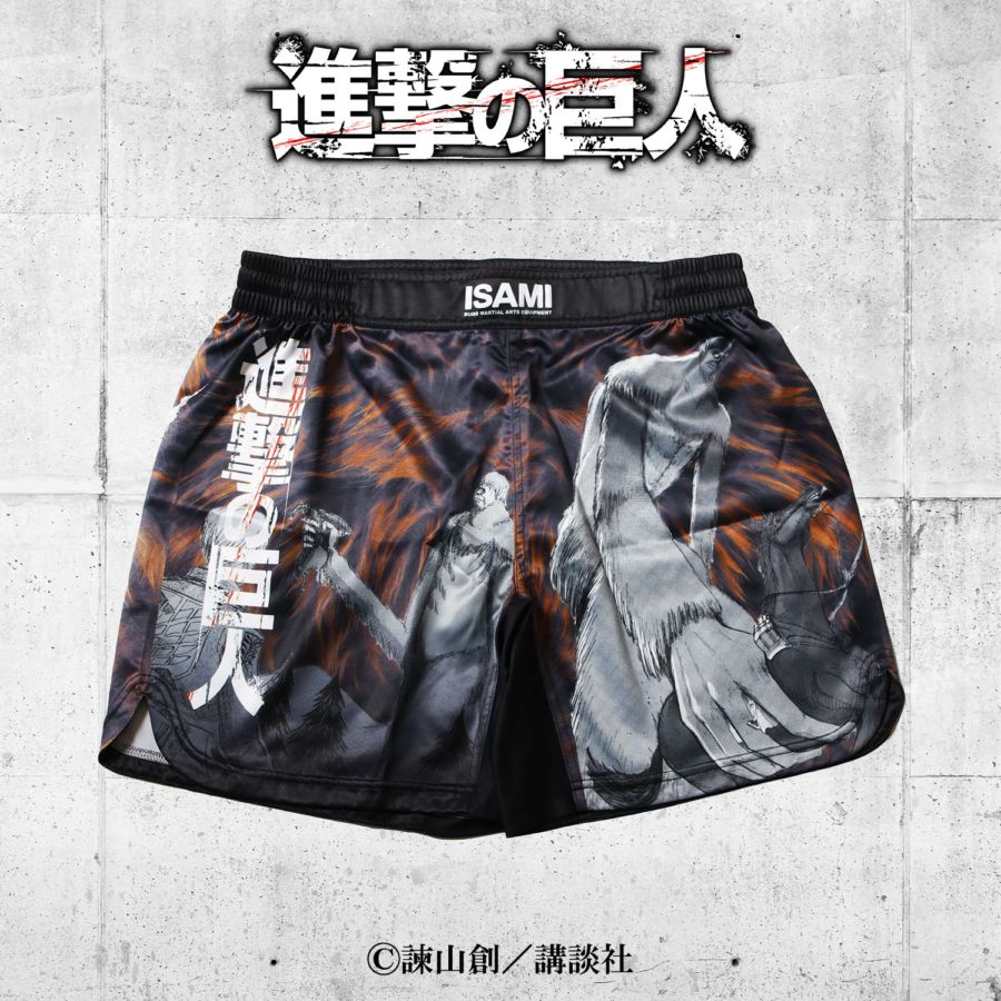 ISAMI(イサミ) 格闘技 武道具用品 格闘技プログッズ
