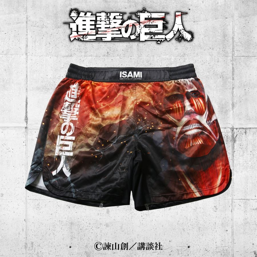 ISAMI(イサミ) 格闘技 武道具用品 格闘技プログッズ