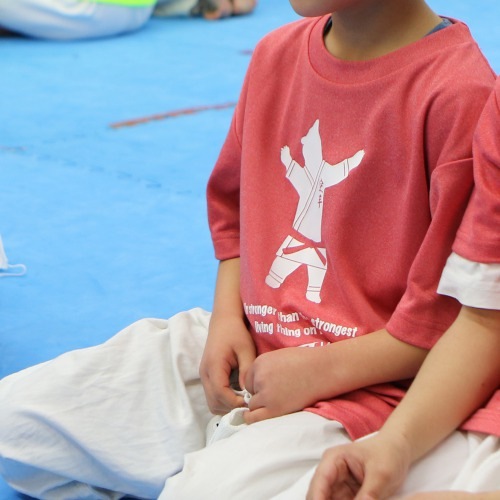 ポーラーベア空手Tシャツ