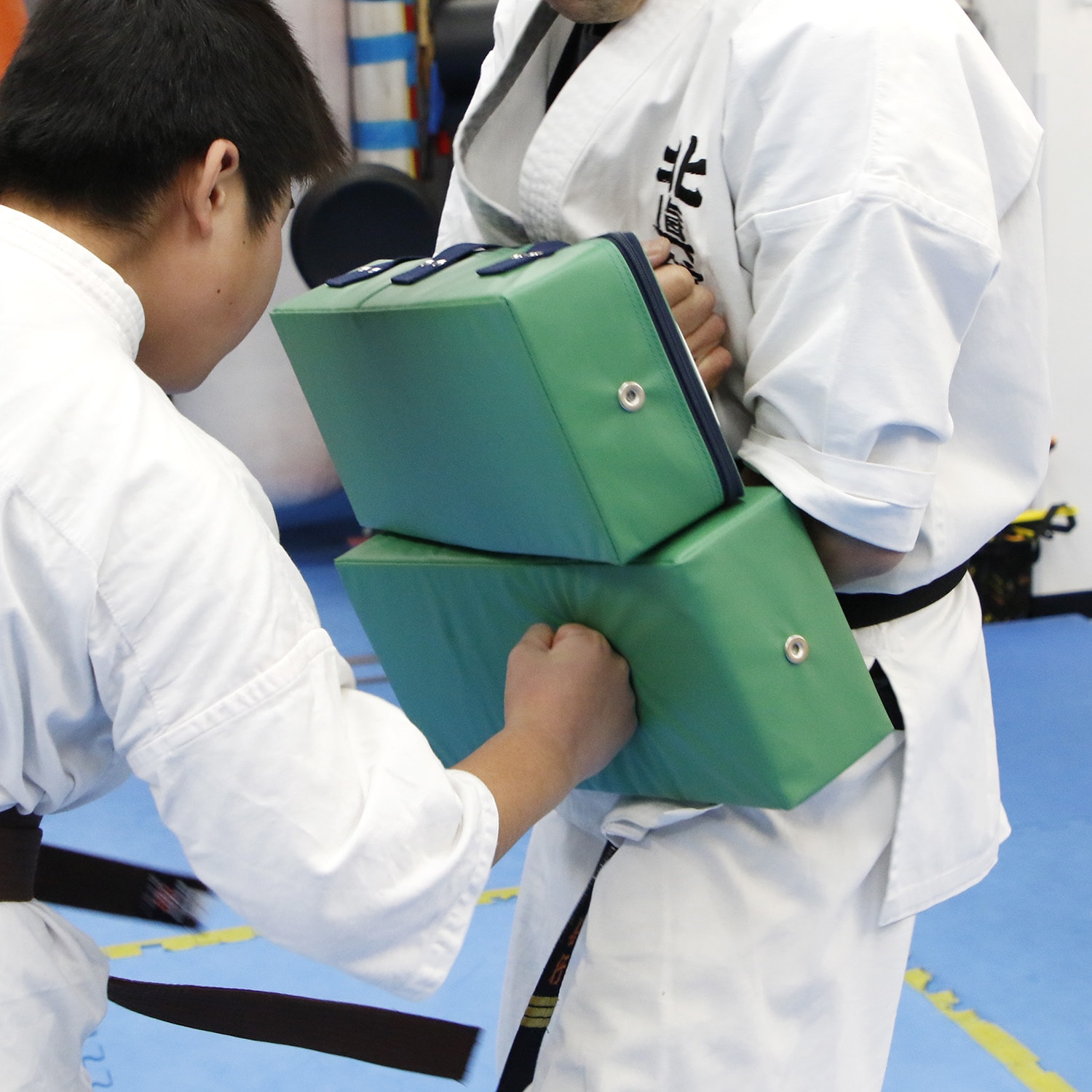 カラーキックミット | すべての商品 | ISAMI(イサミ) |格闘技 武道具
