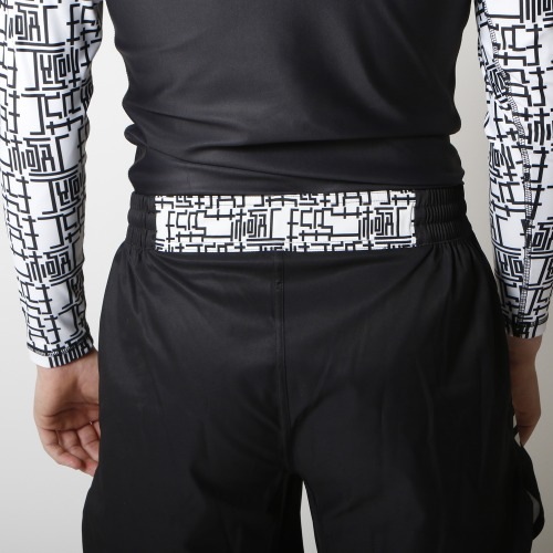 SHOOTO打投極ファイトショーツ