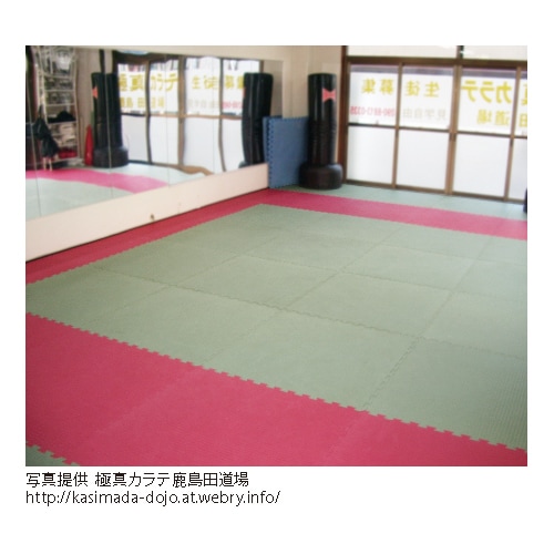 リバーシブルタタミジョイントマット(CY-2) | 道場・ジム用品