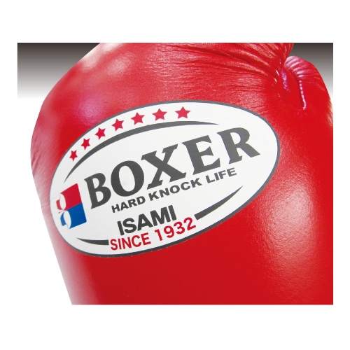 BOXERܥ󥰥 10