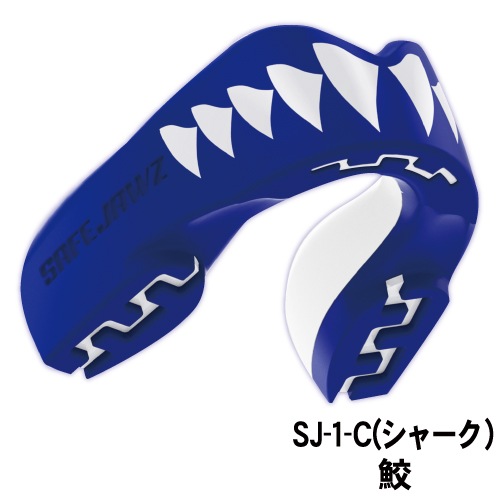 エクストロマウスピース（ケース付き）