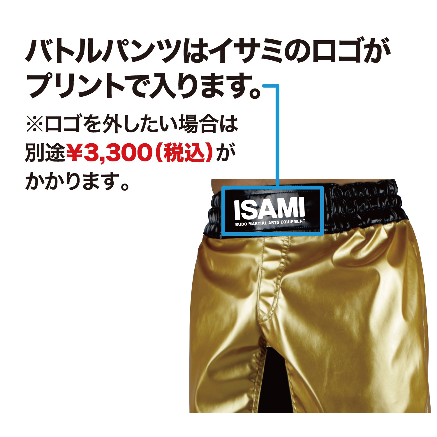 エナメル バトルパンツ ロング | すべての商品 | ISAMI(イサミ