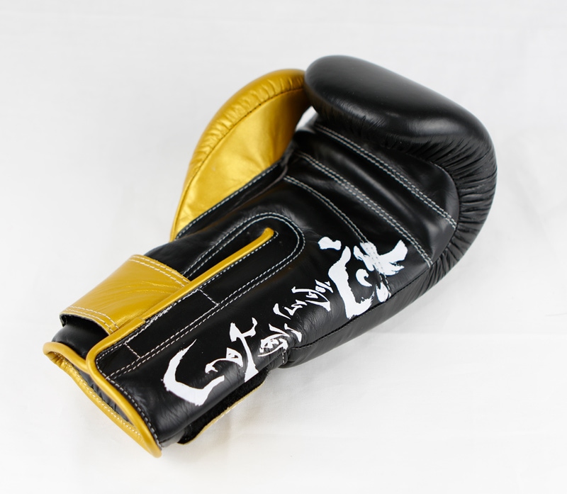 TENSHiN ボクシンググローブ 10oz 黒金　那須川天心　グローブ　イサミ 那須川天心×イサミ 天心グローブ | キックムエタイ,スパーリング