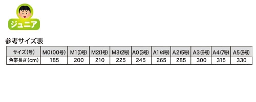 柔術帯（少年用）緑帯(黒・白ライン）
