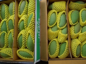 グリーンマンゴー