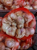 赤玉ねぎ　ベトナム産