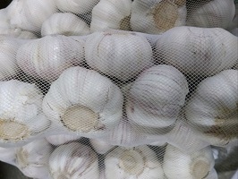 ニンニク　