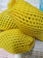 グリーンマンゴー3個入り