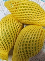 グリーンマンゴー3個入り