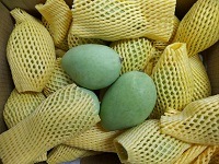 グリーンマンゴー3個入り
