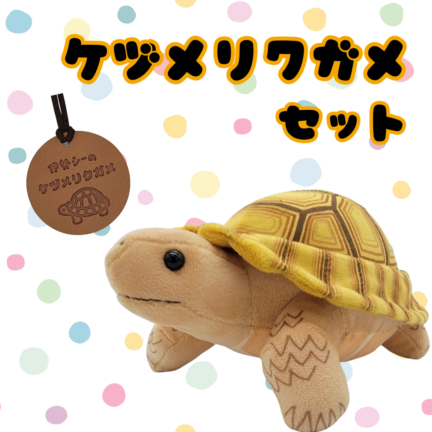 ぬいぐるみ【ケヅメリクガメセット】 | 伊勢シーパラダイス オリジナル