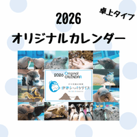 ͽ2026ǯ ѥ ꥸʥ륫